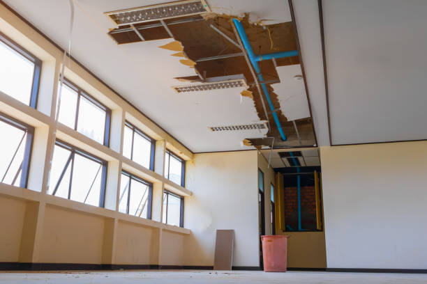 Best Water damage cleanup near me  in Clyde, NC
