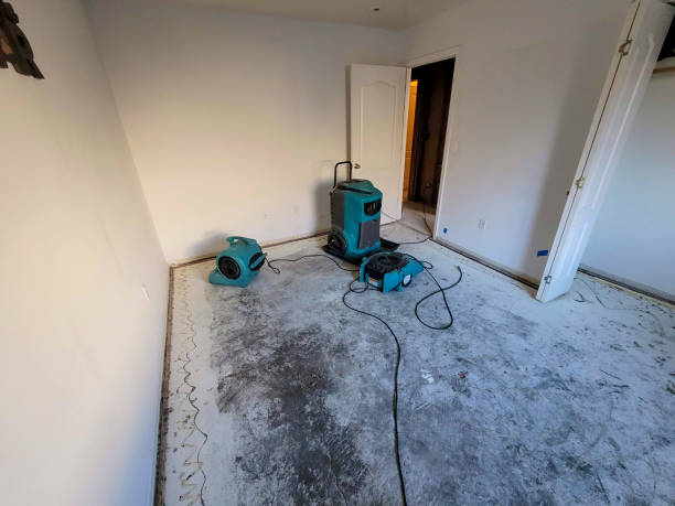 Best Flooded house restoration  in Clyde, NC