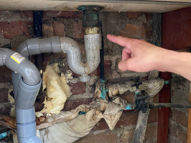 Best Fire Damage Restoration  in Clyde, NC