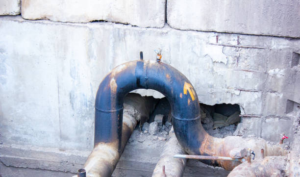 Best Water damage contractors near me  in Clyde, NC